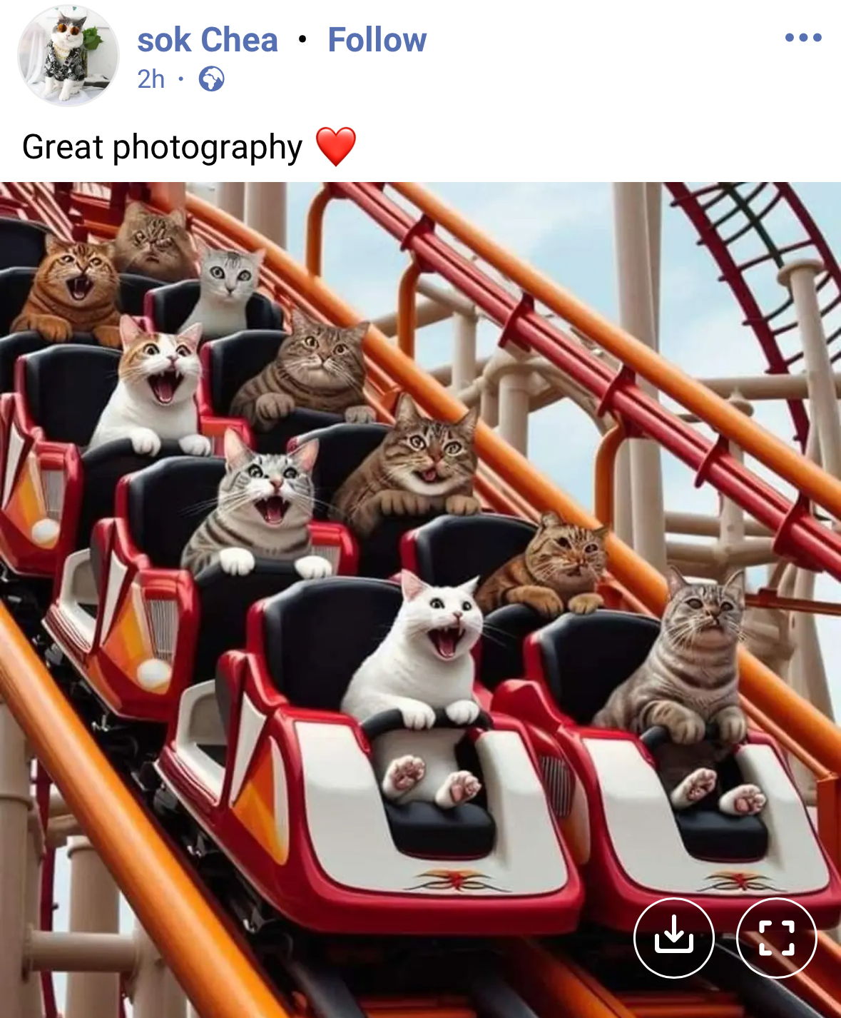 Screenshot of a Facebook post showing an AI generated image of cats on a roller coaster