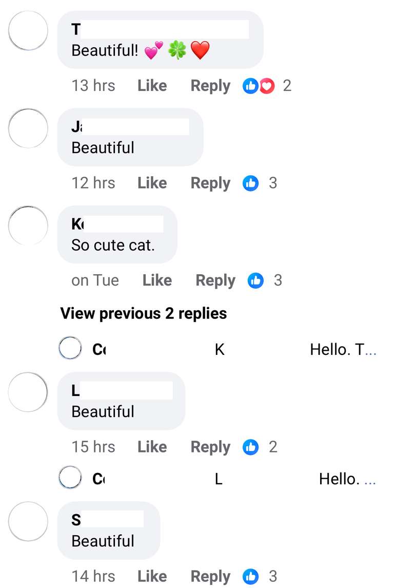 Screenshot of Facebook. Anonymised users posting generic comments like