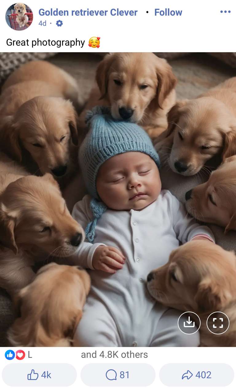 Screenshot of Facebook, an AI generated photo of a baby surrounded by puppies, with the caption