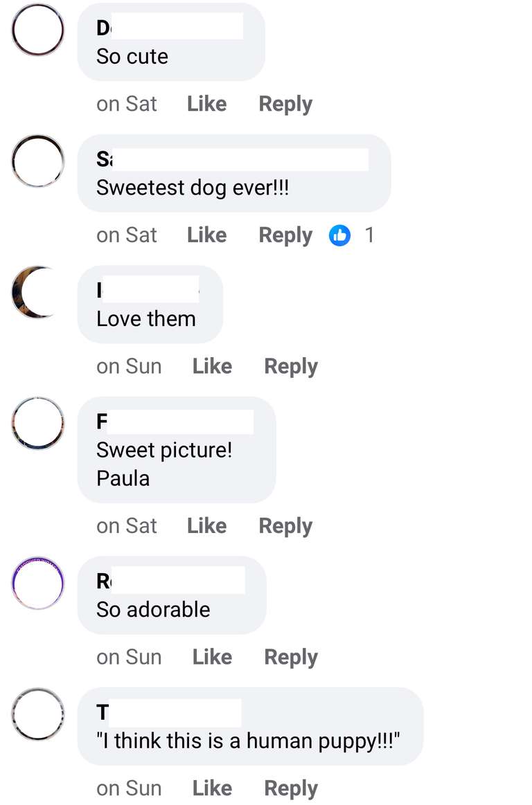 Screenshot of Facebook. Anonymised users posting generic comments like